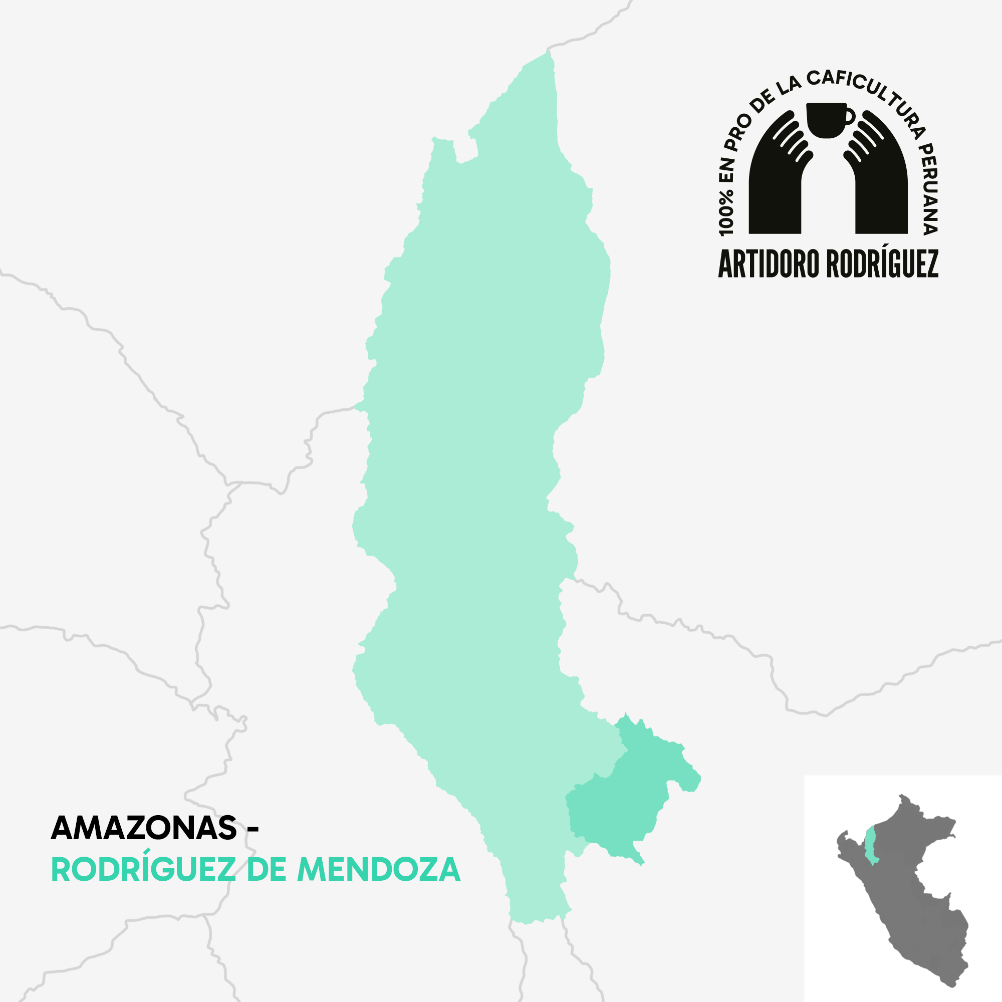 Amazonas Origin — Single Origin Peruvian Coffee